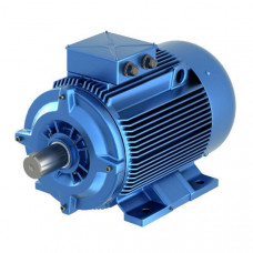 Электродвигатель асинхронный с короткозамкнутым ротором JackShaft JS-AM-E3-100L-2