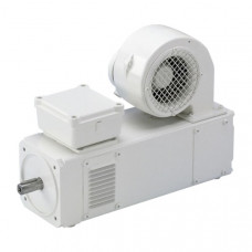 Электродвигатель постоянного тока Lenze MGFQK 063-32